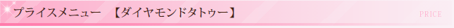 プライスメニュー　【ダイヤモンドタトゥー】